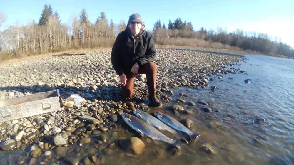 Hatchery Steelhead