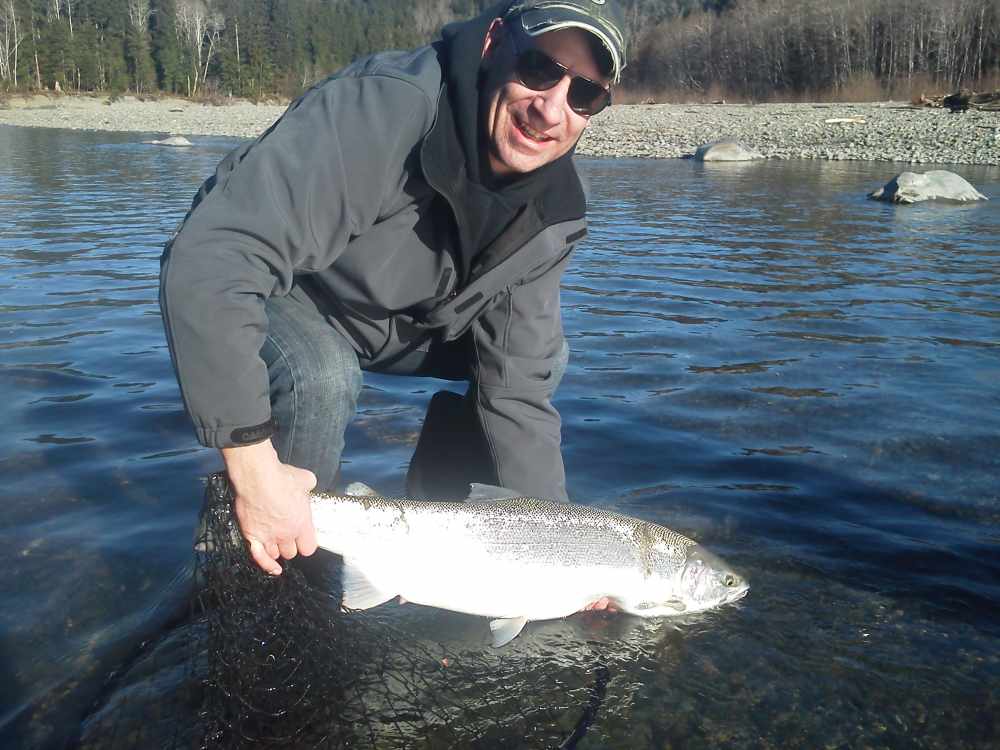 Wild Steelhead